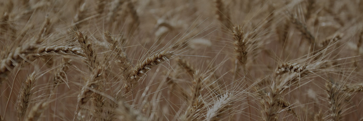 ranaverken-lantbruk-header
